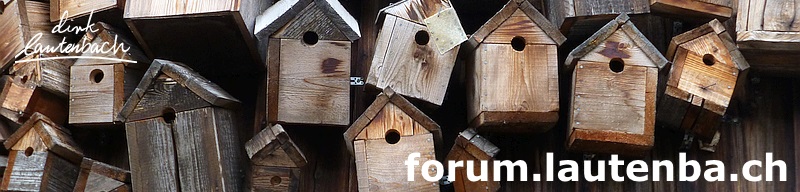 forum :: dirk lautenbach